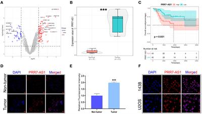 Long non-coding RNA PRR7-AS1 promotes osteosarcoma progression via binding RNF2 to transcriptionally suppress MTUS1